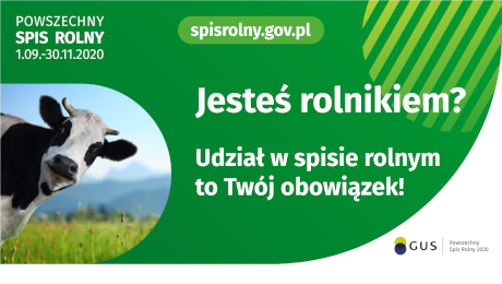 Obowiązek spisowy