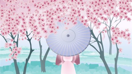 japoński rysunek - kobieta w kimono zasłonięta parasolem wśród drzew kwitnącej wiśni
