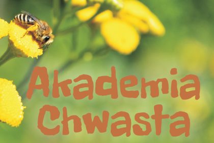 Akademia Chwasta